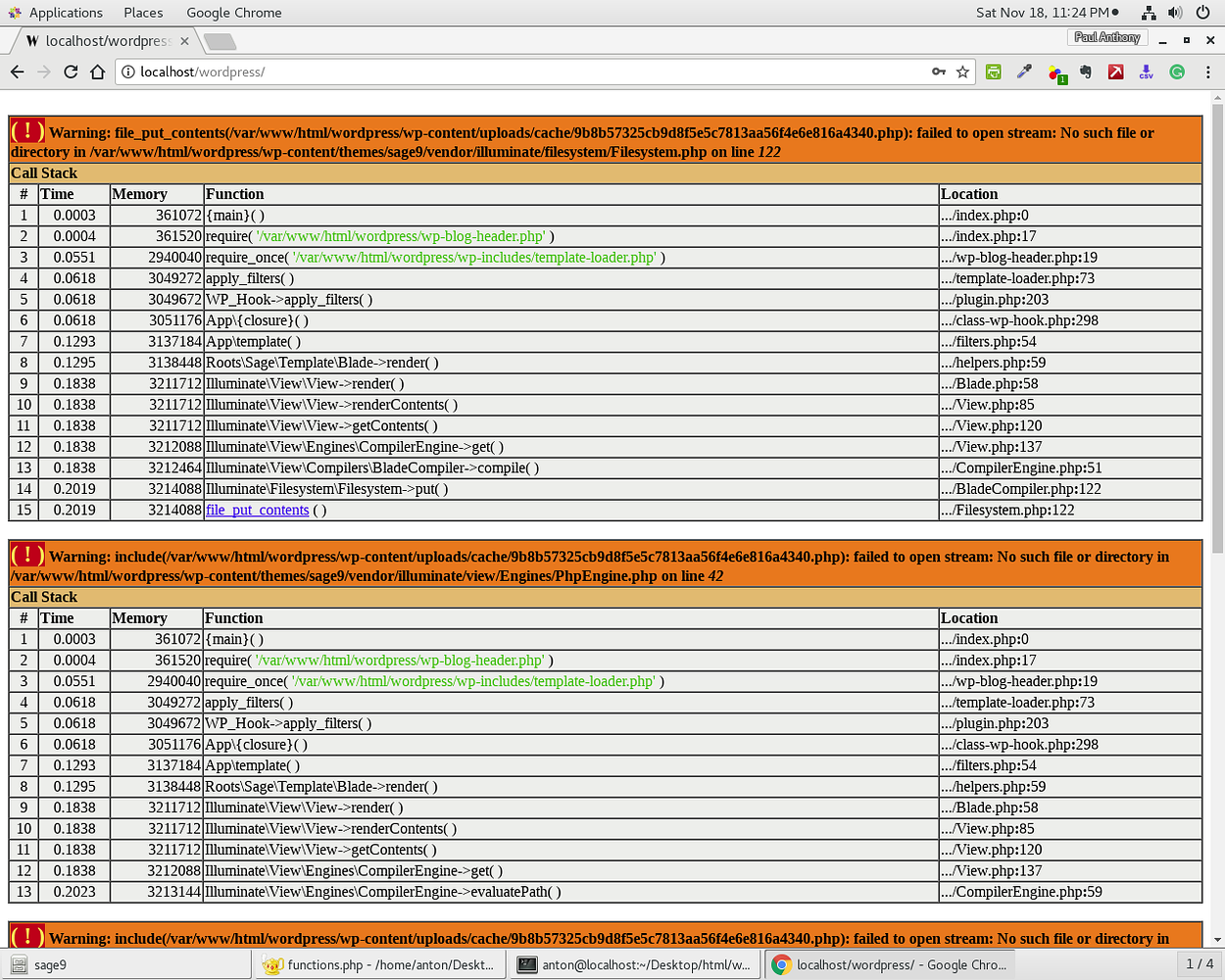 Default install of Sage 9 beta showing blank page - sage - Roots Discourse