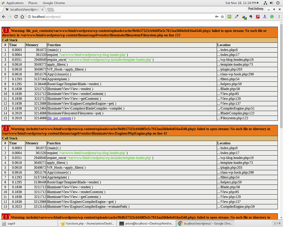 Default install of Sage 9 beta showing blank page - sage - Roots Discourse