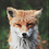 julianfox